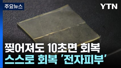 찢어져도 10초면 회복한다!...스스로 회복하는 전자피부 개발 / YTN