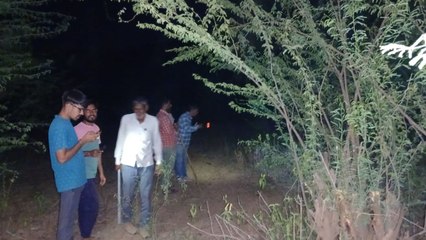 वाहन की टक्कर से घायल मादा पैंथर की मौत, जोहड़े में मिली लाश