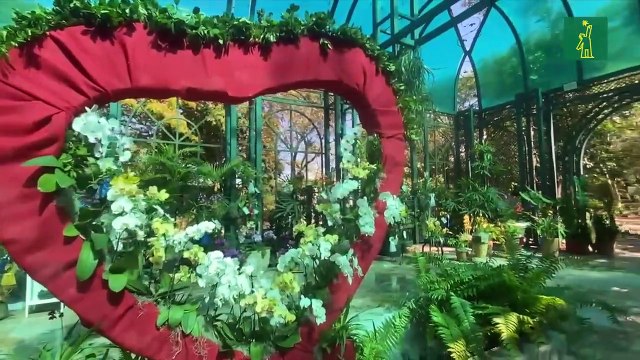 Más de 230 variedades de orquídeas eMás de 230 variedades de orquídeas en la Cuarta Exposición del Jardín Botánico de Santiago n la Cuarta Exposición del Jardín Botánico de Santiago -