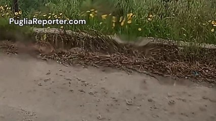 Meteo Puglia, temporali tra Margherita di Savoia e Barletta