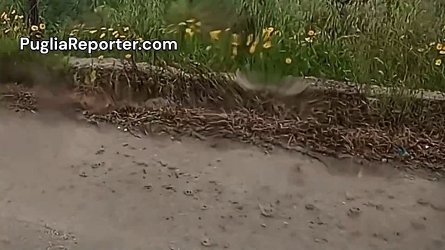 Meteo Puglia, temporali tra Margherita di Savoia e Barletta