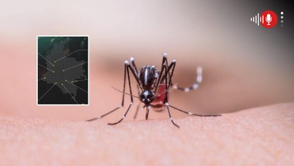 El listado de los municipios que están en muy alto riesgo por el brote de la fiebre amarilla