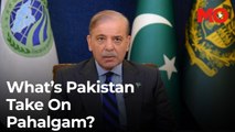 What’s Pakistan's take on Pahalgam? 