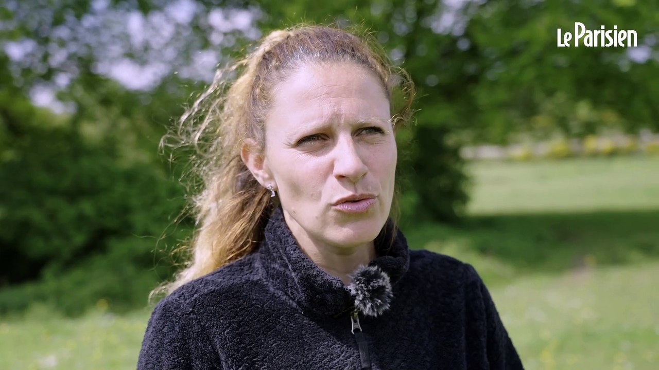 « Il n’y a aucun animal maltraité » : Jessica se bat pour sauver de l’euthanasie ses vieux chevaux
