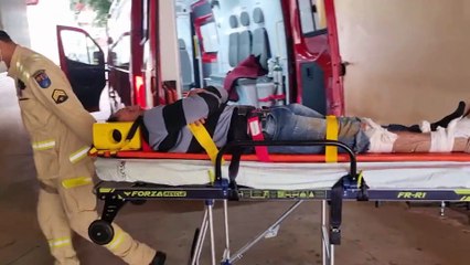 Motociclista quebra a perna após atingir cachorro na Estrada Rio da Paz