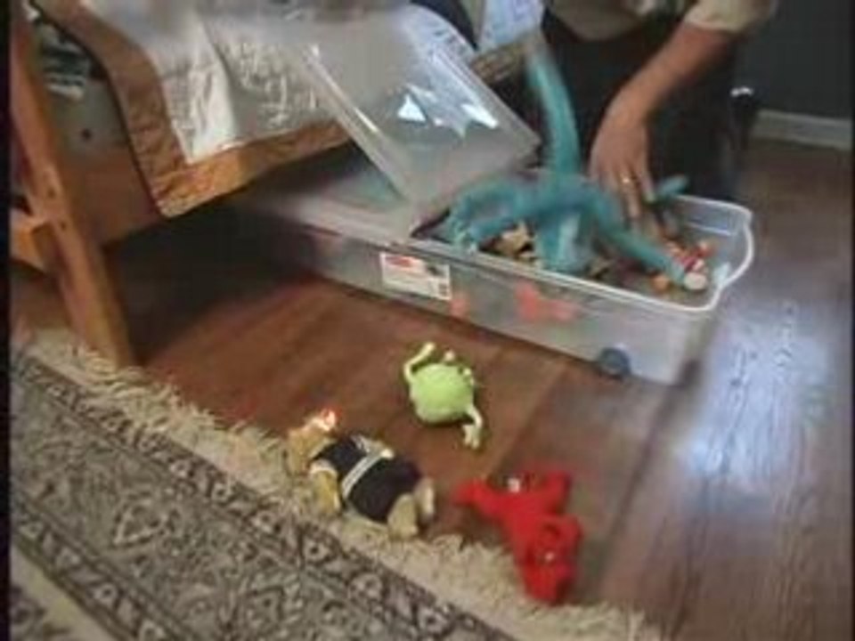 Get Organized Using Storage Totes