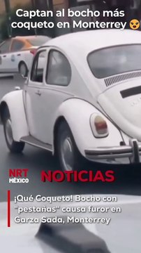 Un Bocho muy particular fue captado en la transitada Av. Garza Sada de Monterrey. Con un arreglito especial en los faros, este coche se convirtió en el más coqueto del tráfico, ¡listo para una cita!