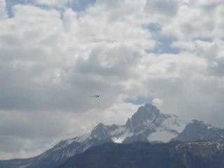Cri-cri 008