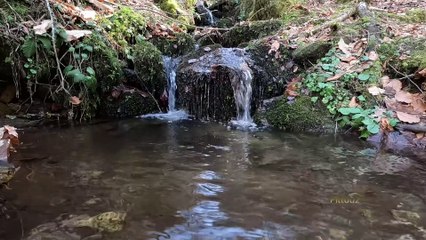 "Bien-être" Eau Douce - Relaxation - Détente