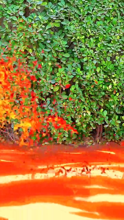 Save Adam Adventure at Superhero School Entertainment  videos  kids gameplay fun 4k Episode 30 English new dailymotion trading