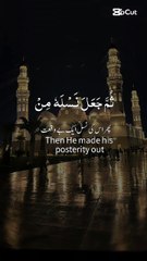 The Holy Quran verses ❤️✨ Surah Yusaf