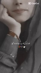 Sana Abbasi Daily Blogs