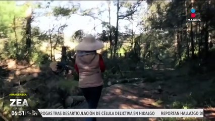 25 defensores del medio ambiente fueron asesinados en México en 2024