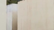 🕊️ Palomas al acecho_ ¿Planean algo en el techo del vecino_ 👀🐦 ¡Misterio alado! #Shorts