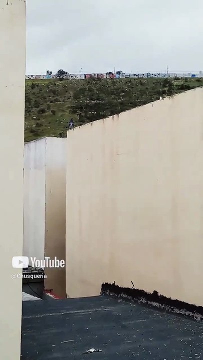 🕊️ Palomas al acecho_ ¿Planean algo en el techo del vecino_ 👀🐦 ¡Misterio alado! #Shorts