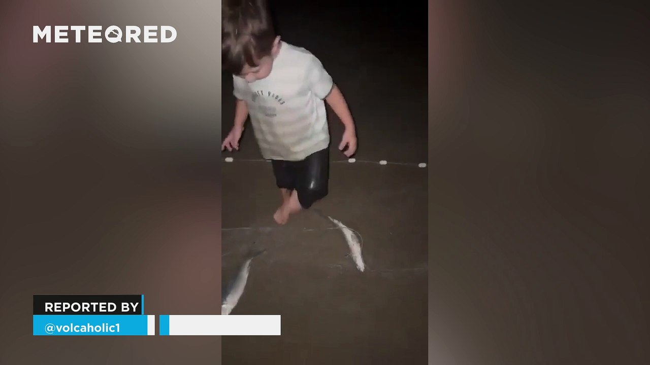 A very bright meteor lights up the skies over Santa Catarina, Brazil! This bolide is part of the Lyrid meteor shower