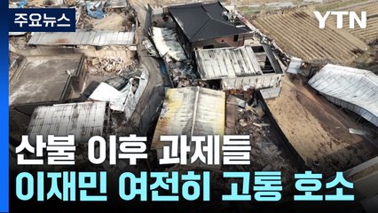 산불 그 후...이재민 지원·산림 관리 현 주소는? / YTN