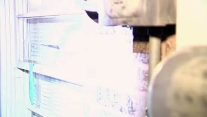 Cops- En Español - EP13