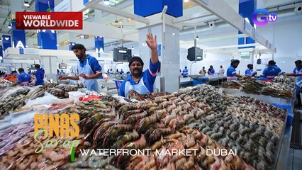 Kara David, namalengke sa pinakamalaking fish market sa Dubai! | Pinas Sarap