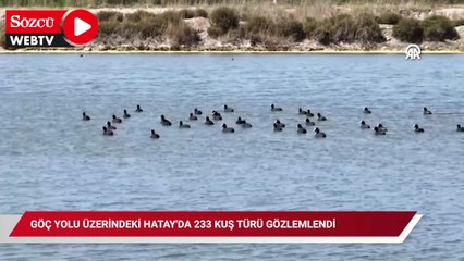 Göç yolu üzerindeki Hatay'da 233 kuş türü gözlemlendi