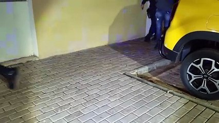 Homem é preso pela Guarda Municipal após bater na esposa no bairro Santa Felicidade
