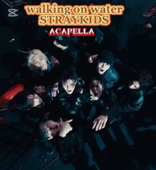 Stray Kids - Walk on Water (A Cappella Version) | Pure Vocals Only