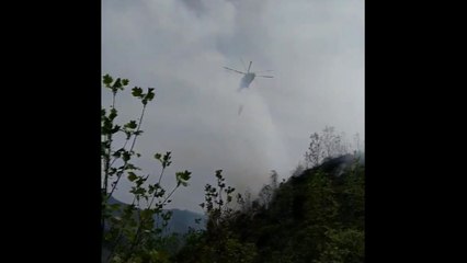 남원 산동면 야산에 불...2시간 40분 만에 진화 / YTN