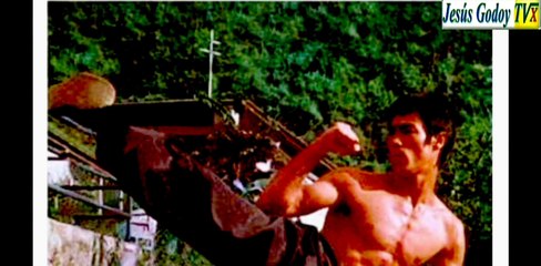 El Tao del Jeet Kune Do