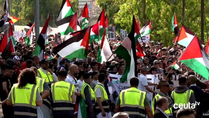 Más de 3.500 personas marchan desde el Príncipe contra el “genocidio televisado del siglo XXI”