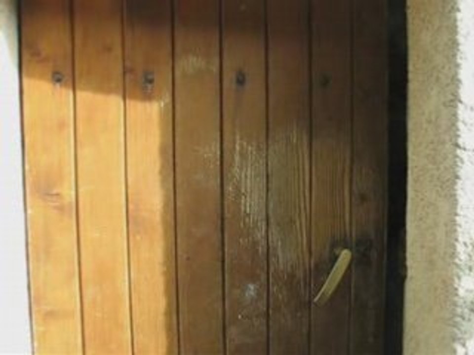 La communauté des blaireaux