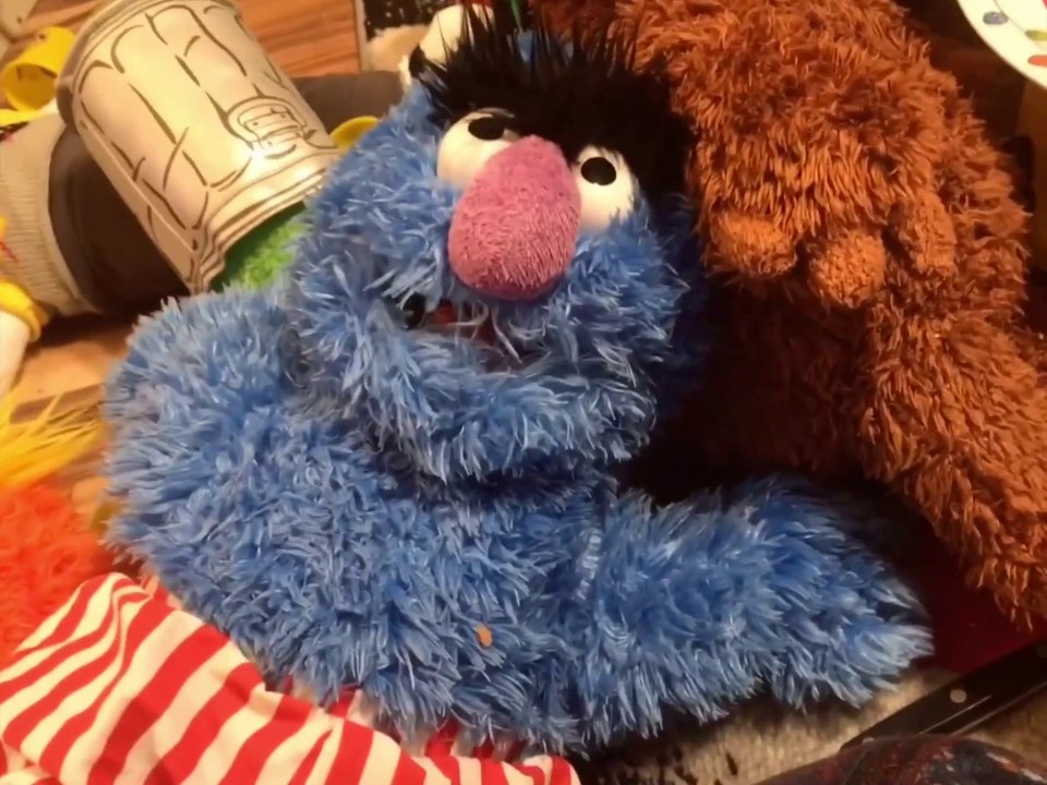 Sesame Street - Animal Happy Birthday Dinner Spaghetti And Pizza And Tacos Chow (2008)