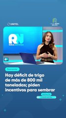 Hay déficit de trigo de más de 800 mil toneladas; piden incentivos para sembrar