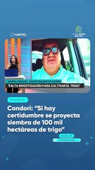 Condori: “Si hay certidumbre se proyecta siembra de 100 mil hectáreas de trigo”
