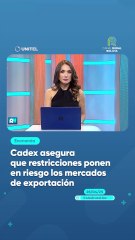 Cadex asegura que restricciones ponen en riesgo los mercados de exportación