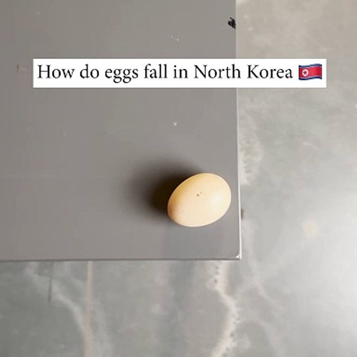 Did you crack up for this 🥚😂