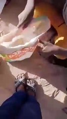 بيع حيوان الفنك المهدد بالانقراض  وبيع الشرشمان " سمك الرمال" الذي لايقدر على شرائه ءوي الدخل الضعيف
