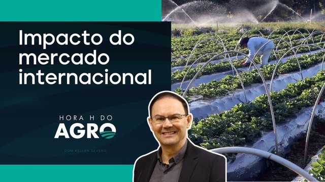 EUA e Argentina divulgam dados de safra | HORA H DO AGRO