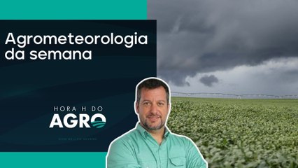 Por Dentro do Clima: impacto das chuvas nas lavouras | HORA H DO AGRO