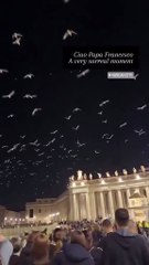 Palomas blancas sobre San Pedro: un vuelo simbólico conmueve al Vaticano