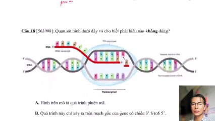 Sinh 12 - Chuyên đề Gene, quá trình truyề đạt thông tin di truyền - Lý thuyết