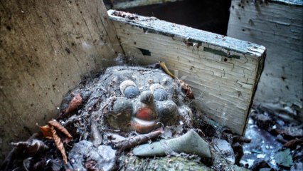 فيلم رعب تشاكي 2024 - عودة الدماء - فيلم أجنبي مخيف لا يفوتك