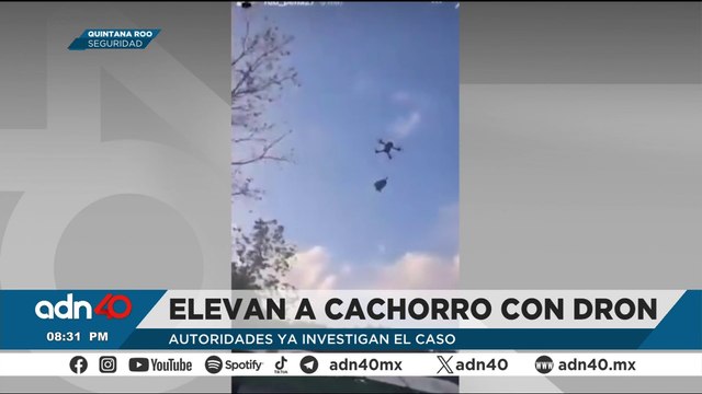 🚨¡Última Hora! Fuerzas federales desarticulan a grupo delictivo en La Paz y los Cabos