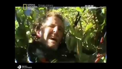 do or die hindi petrol