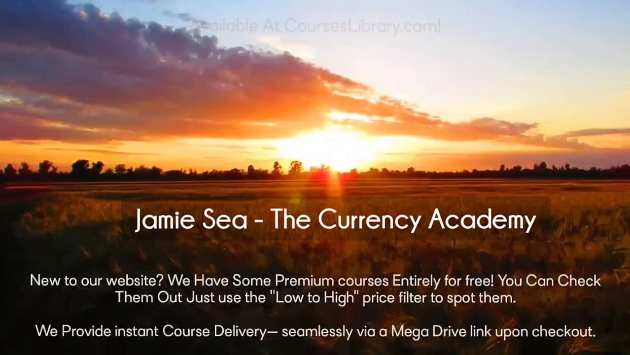 (courseslibrary.com)Jamie Sea - The Currency Academy  Course download