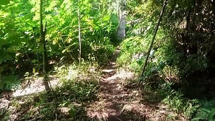 jalan menuju sungai di makam mbah bergas