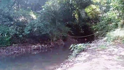 sungai brantas dan sungai manten di makam mbah bergas