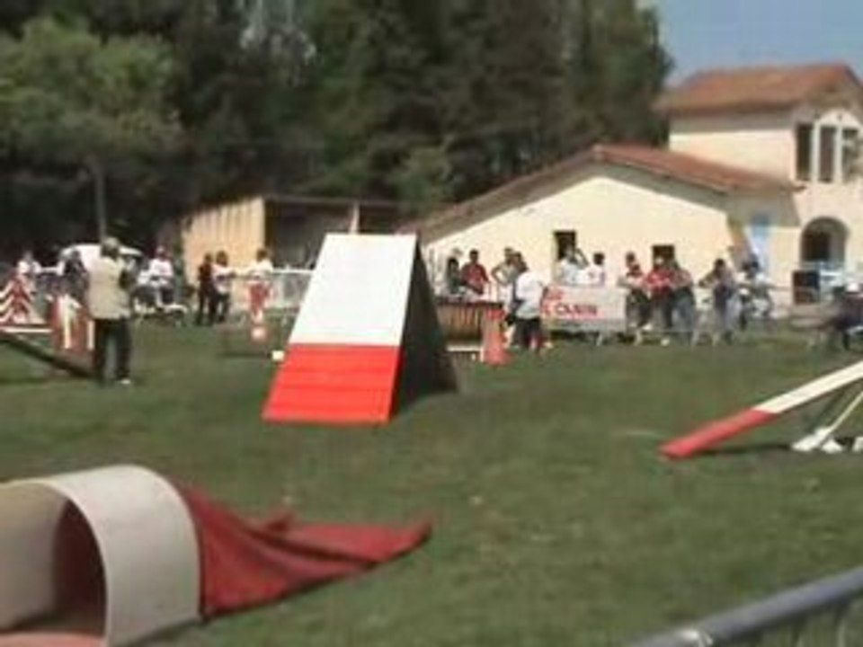 agility