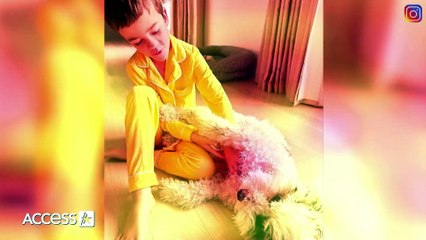 Jimmy Kimmel’s Update On Son Billy’s Health As He Celebrates 8th Birthday