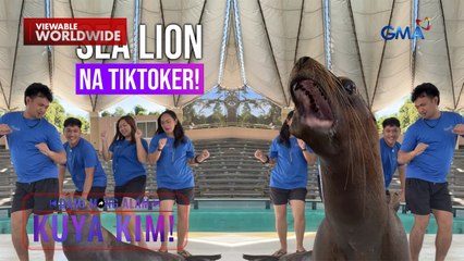 Sea lion, viral sa kanyang paggiling at tricks! | Dami Mong Alam, Kuya Kim!