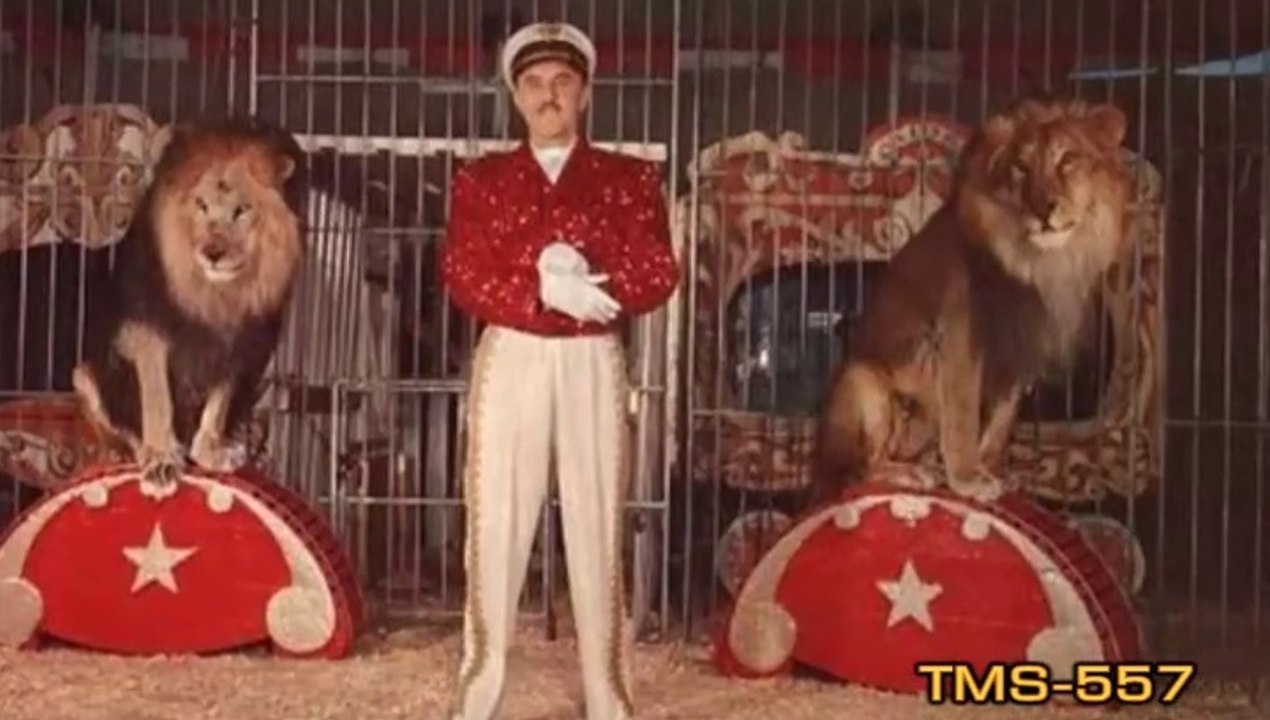 Keller's Jungle Killers--Disneyland History--TMS-557
